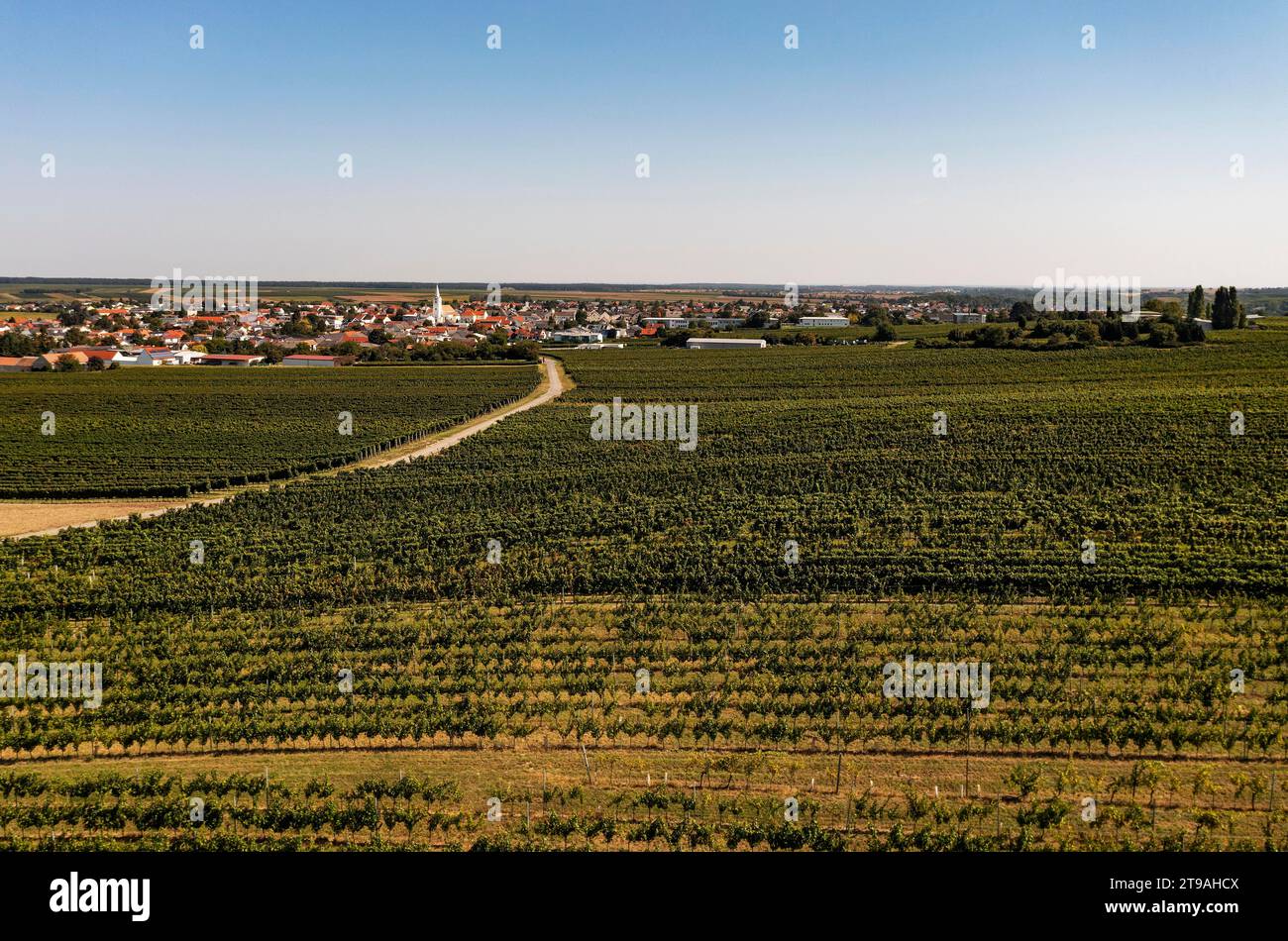 Drone view of Deutschkreutz with vineyards, Blaufraenkischland, Burgenland, Austria Stock Photo