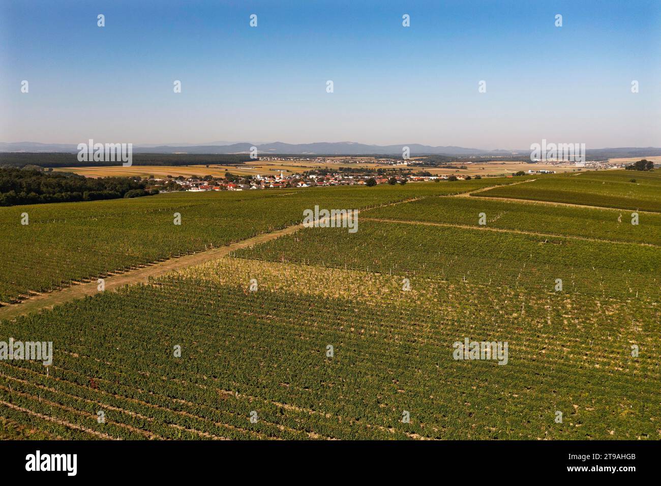 Drone view, view of Lackendorf with vineyards, wine growing, Blaufraenkischland, Burgenland, Austria Stock Photo