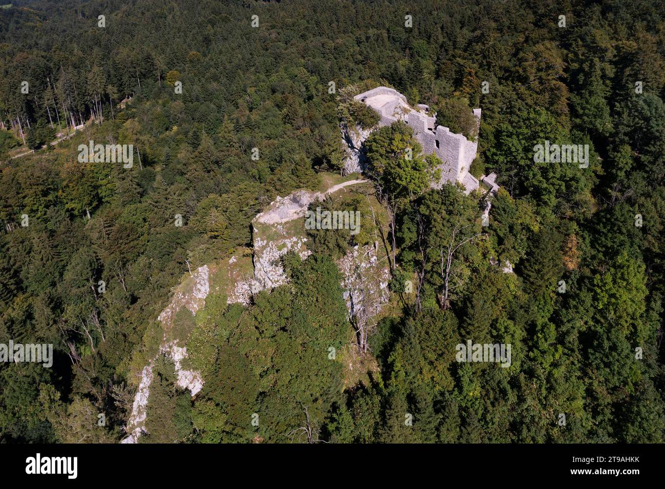 Drone shot, Wartenfels castle ruins, Thalgau, Osterhorn group, Salzkammergut, Salzburg province, Austria Stock Photo