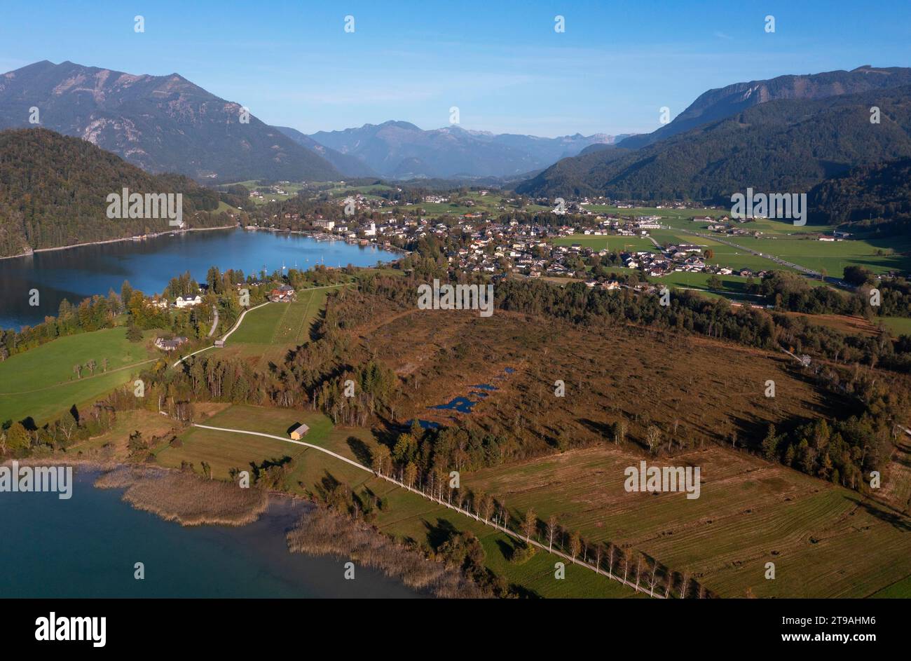 Drone image, Blinklingmoos nature reserve, Strobl am Wolfgangsee, Salzkammergut, Salzburg province, Austria Stock Photo