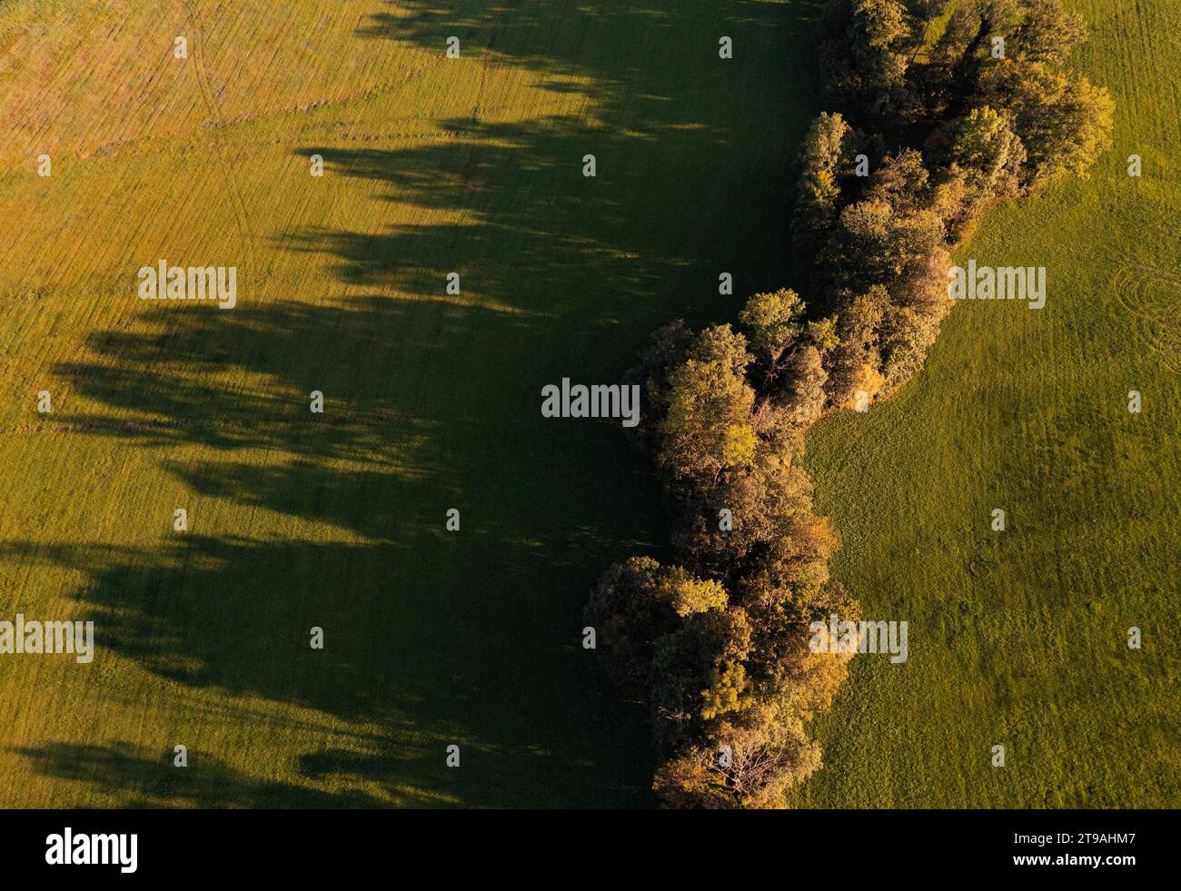 Drone image, river course through agricultural landscape with autumnal coloured trees with shadows, Fuschlerache, Mondseeland, Mondsee Stock Photo