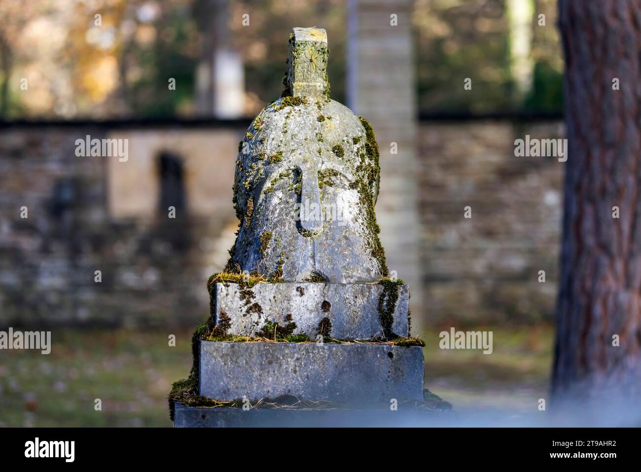 Cemetery for fallen soldiers of the world wars, symbolic photo for Remembrance Day. Stuttgart Forest Cemetery, Baden-Wuerttemberg, Germany Stock Photo