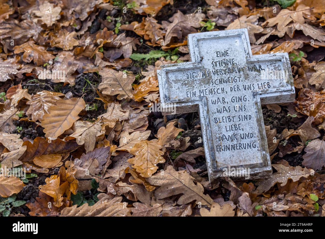Cemetery for fallen soldiers of the world wars, symbolic photo for Remembrance Day. Stuttgart Forest Cemetery, Baden-Wuerttemberg, Germany Stock Photo