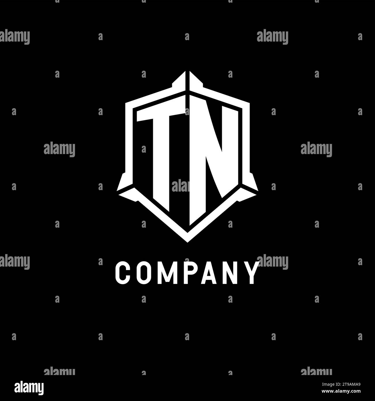 Tn logo monogram emblem style with crown shape Vector Image