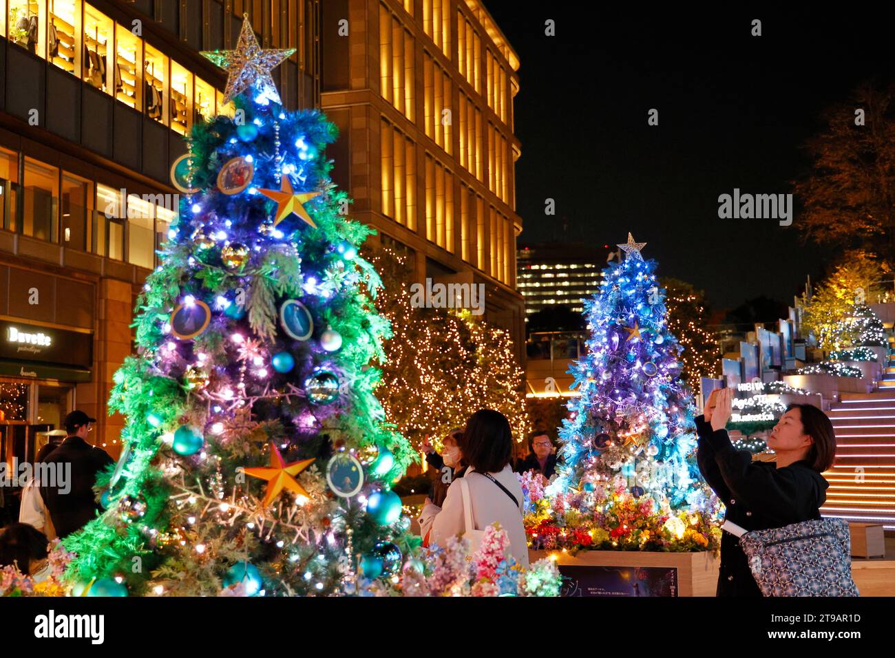 Tokyo, Japan. 24th Nov, 2023. People enjoy the Christmas decorations on