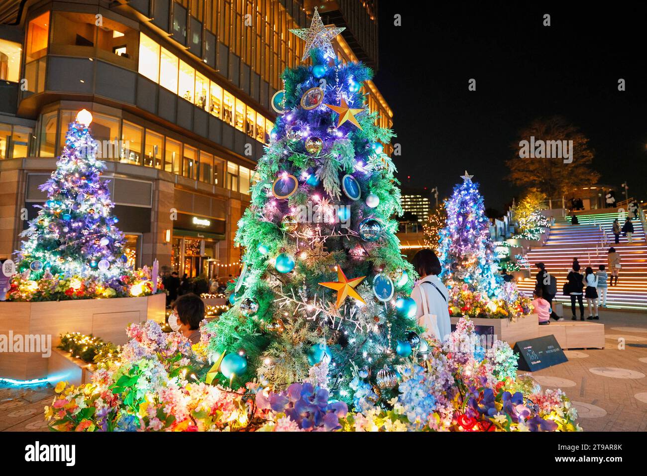 Tokyo, Japan. 24th Nov, 2023. People enjoy the Christmas decorations on
