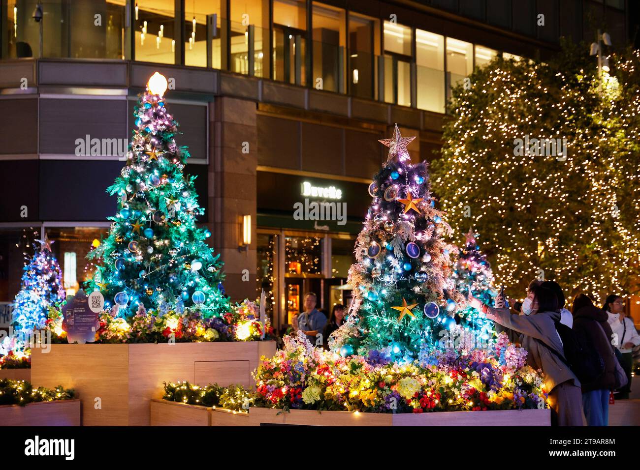 Tokyo, Japan. 24th Nov, 2023. People enjoy the Christmas decorations on