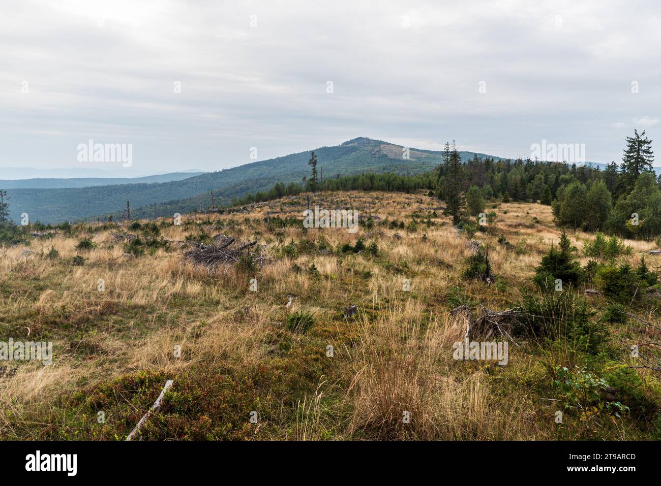 Volovske vrchy mountains with Pipitka hill in Slovakia during cloudy autumn day Stock Photo