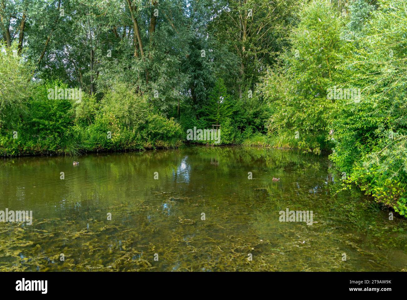 scenery around the Hortillonages in Amiens, a city and commune in