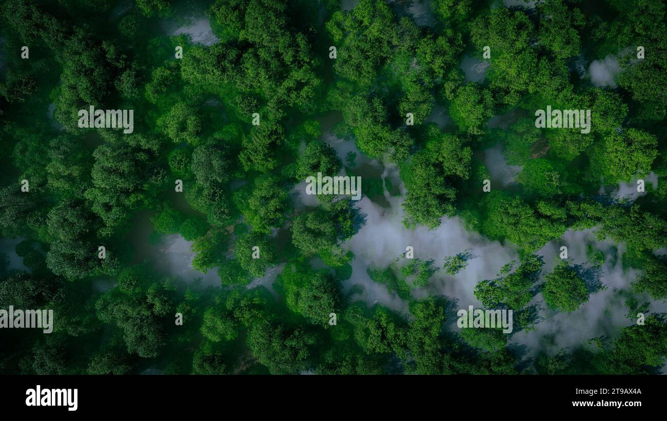 3d rendering misty forest hi-res stock photography and images - Alamy