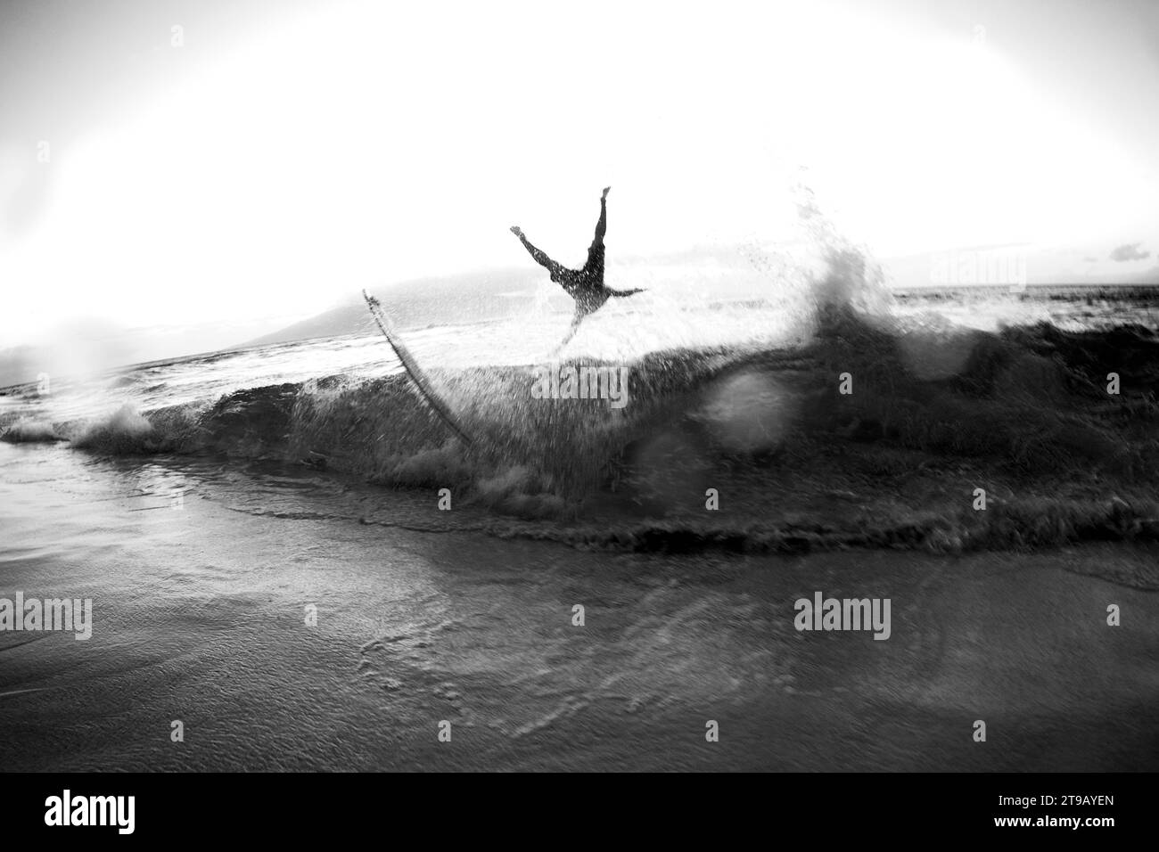 Black and white image of a skimboarder getting wiped out by a wave. Stock Photo