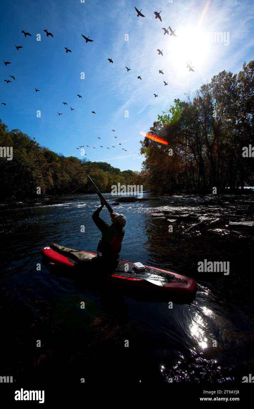 One man / hunter on a stand-up paddle board shooting ducks with a rifle in morning light. Stock Photo