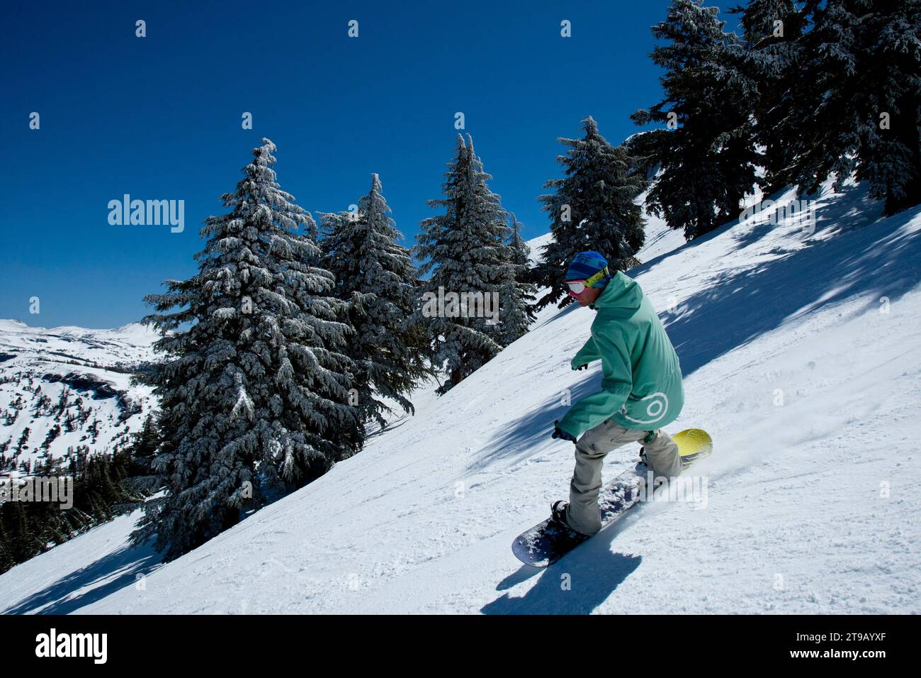 Snowboarder riding spring conditions with new snow in the trees. Stock Photo