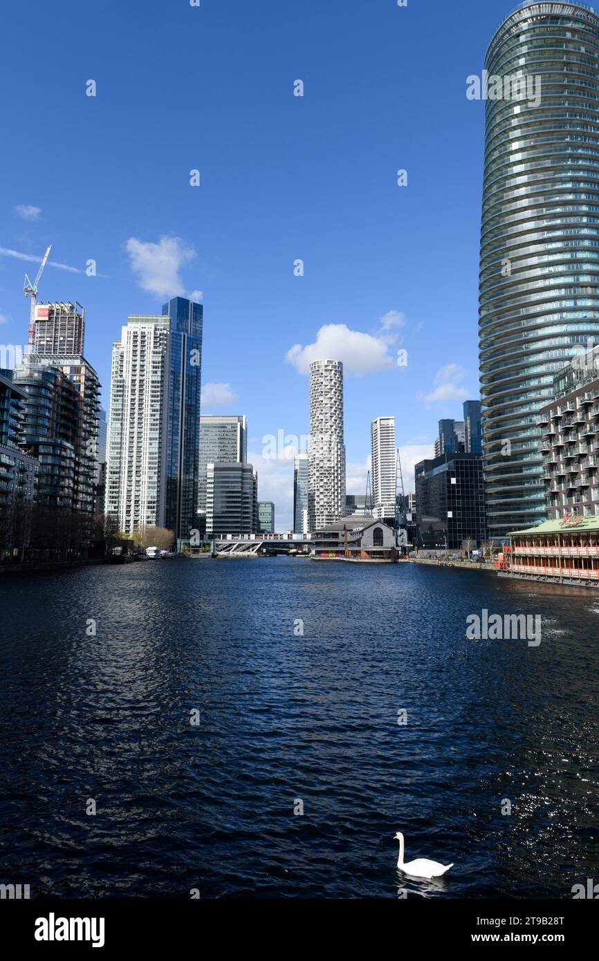 Looking North down Millwall Inner Dock, the white circular skyscraper is One Park Drive a residential skyscraper located in Canary Wharf. Millwall Inn Stock Photo