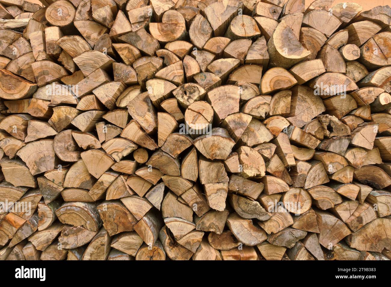 firewoods background in Serbia Stock Photo