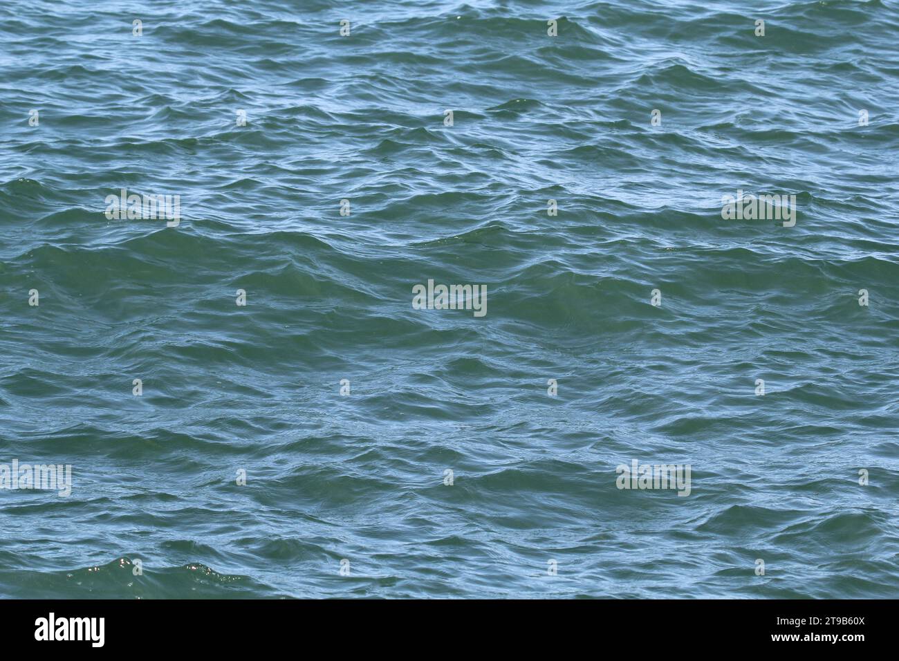 Ripples on top of the ocean sea water surface Stock Photo - Alamy