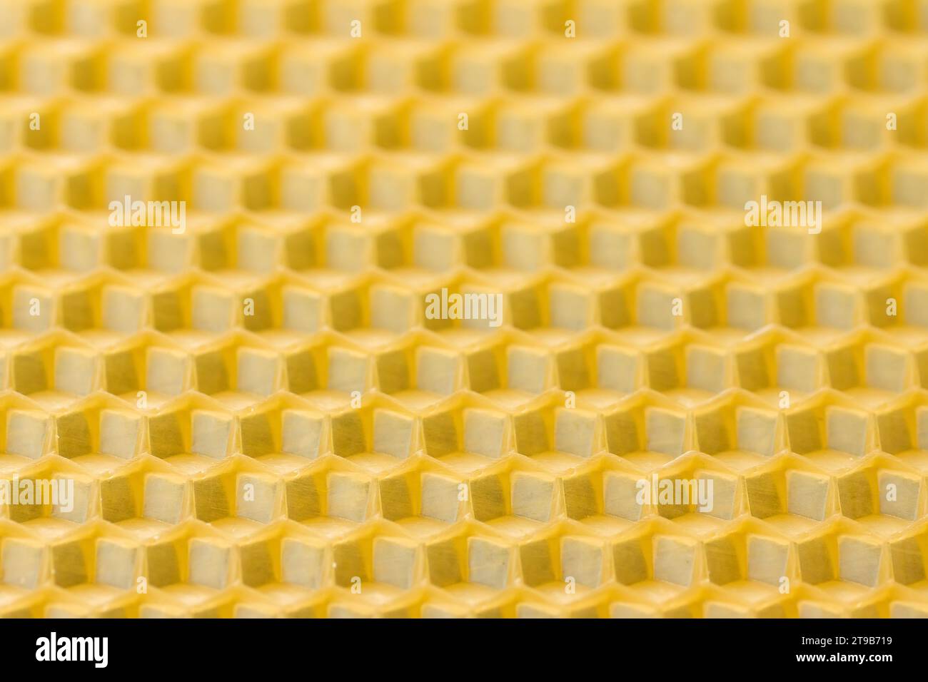 Hive Texture Background texture and pattern of a section of wax honeycomb from a bee ...