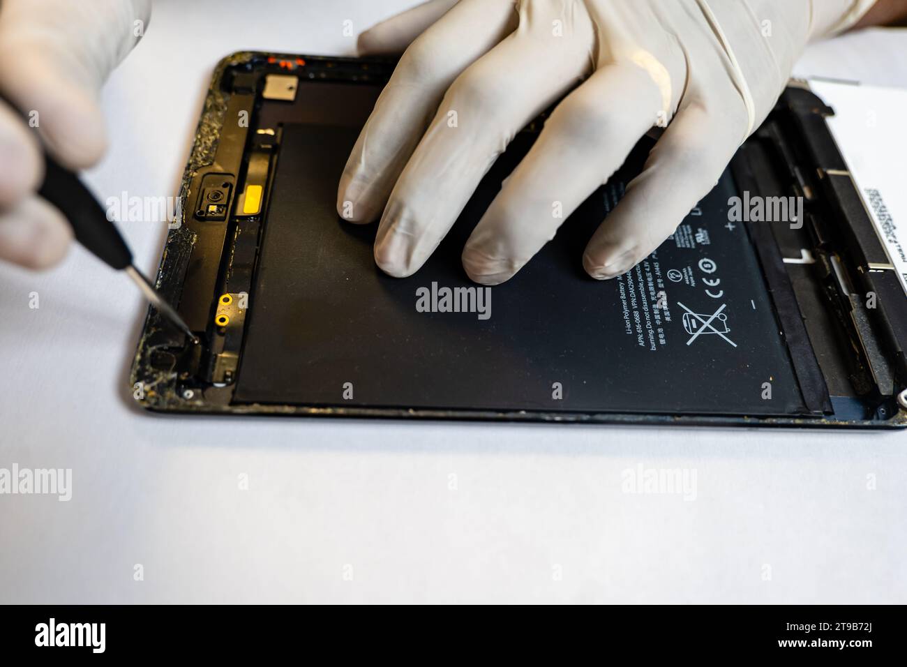A concentrated technician meticulously disassembles a tablet using a variety of specialized tools Stock Photo