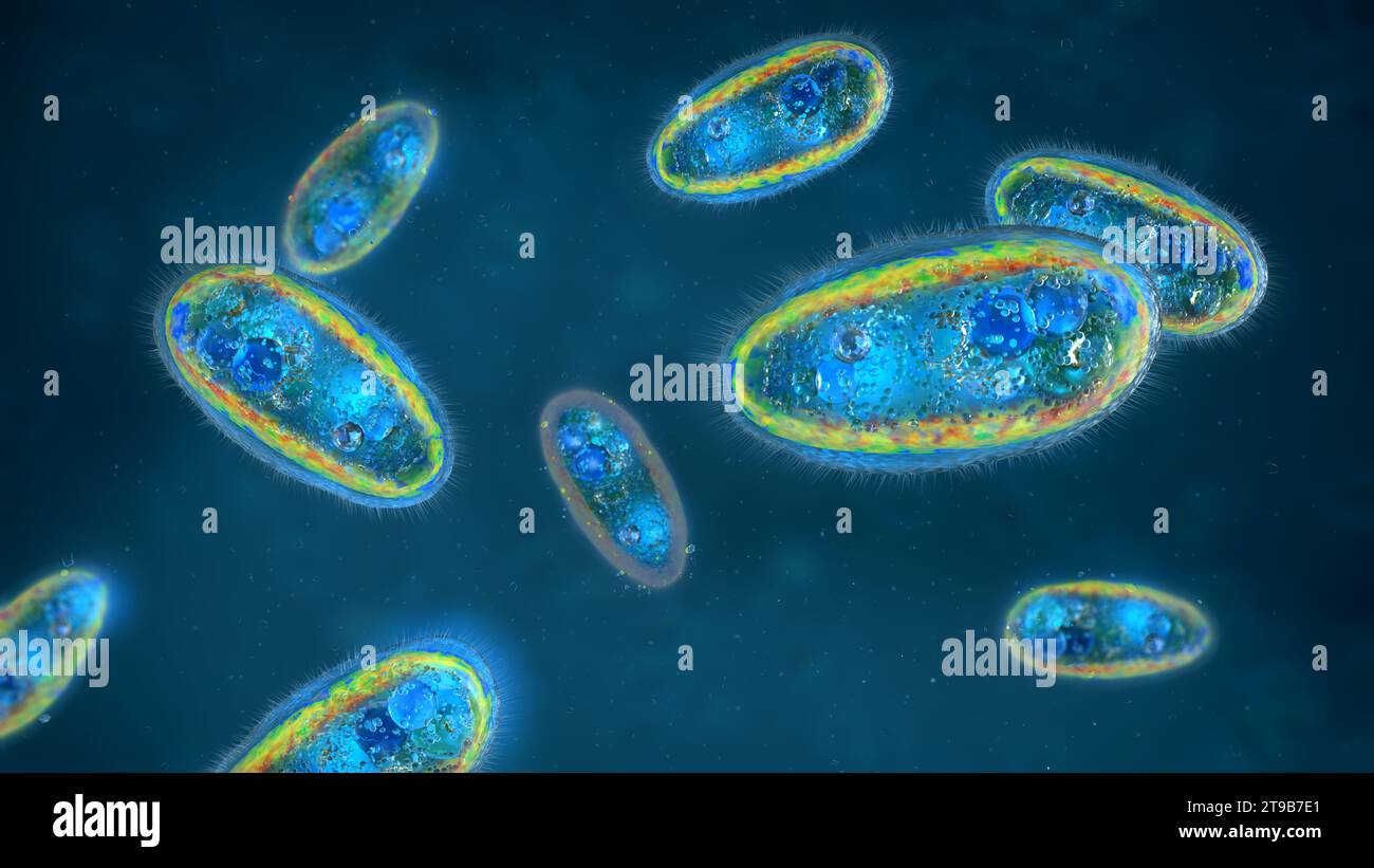 Close up of parasitic protozoans a single-celled eukaryotes flowing in liquid - 3d iluustration Stock Photo