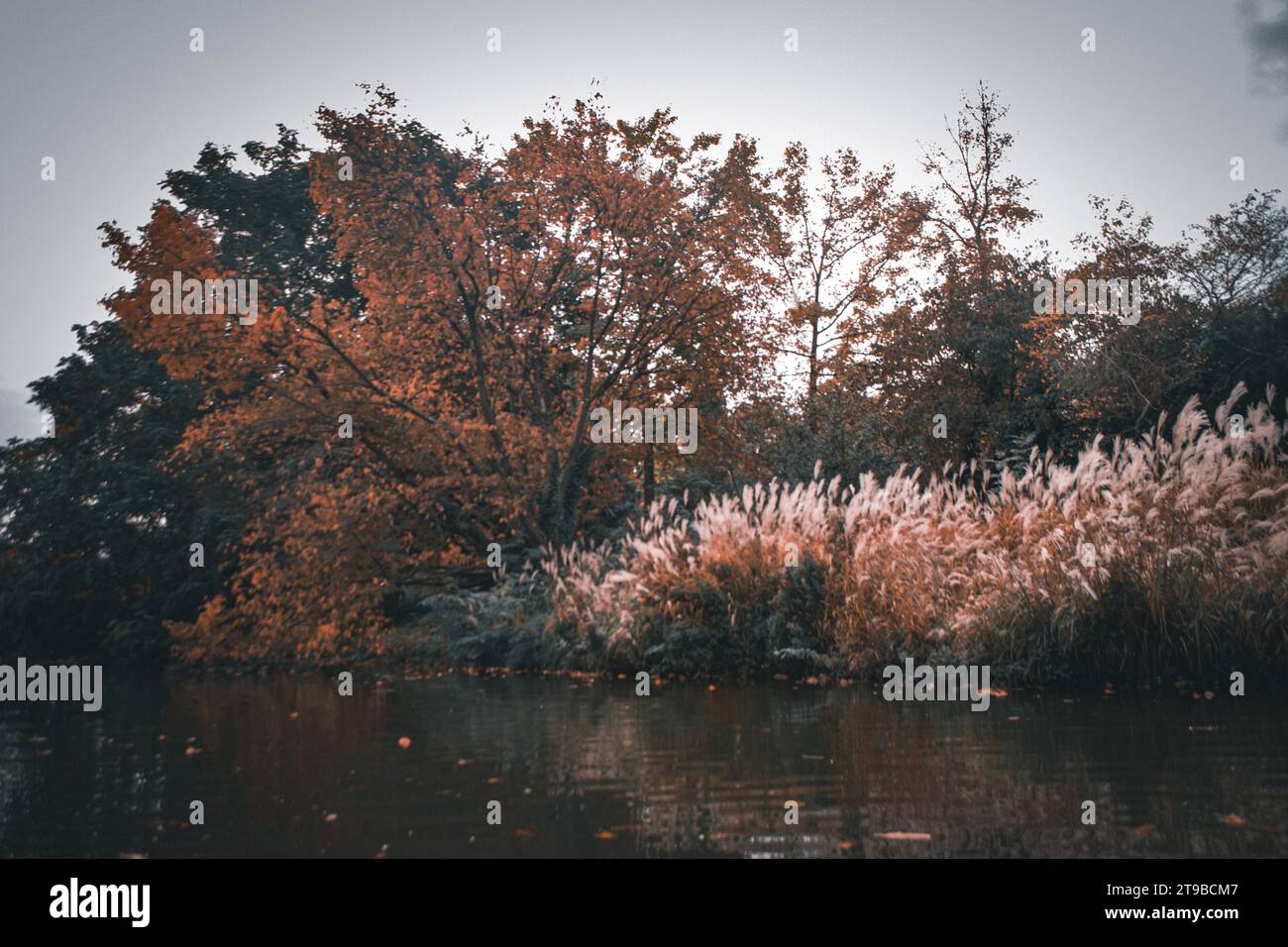 Mannheim, Germany - landscape in the Luisenpark: Federal horticulture and garden show, covering planting, and landscaping topics (Bundesgartenschau Stock Photo