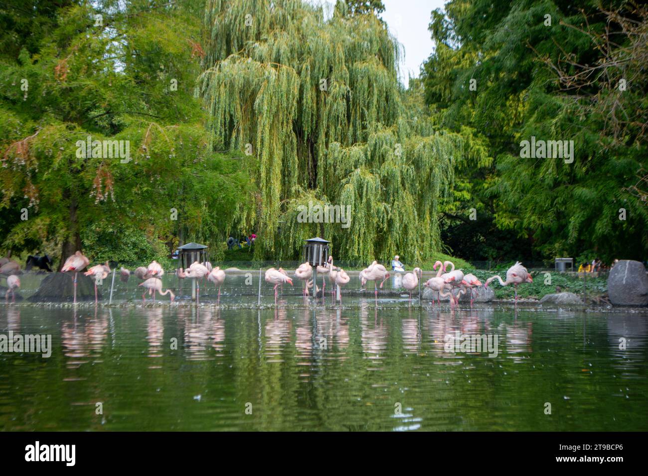 Mannheim, Germany - landscape in the Luisenpark: Federal horticulture and garden show, covering planting, and landscaping topics (Bundesgartenschau Stock Photo