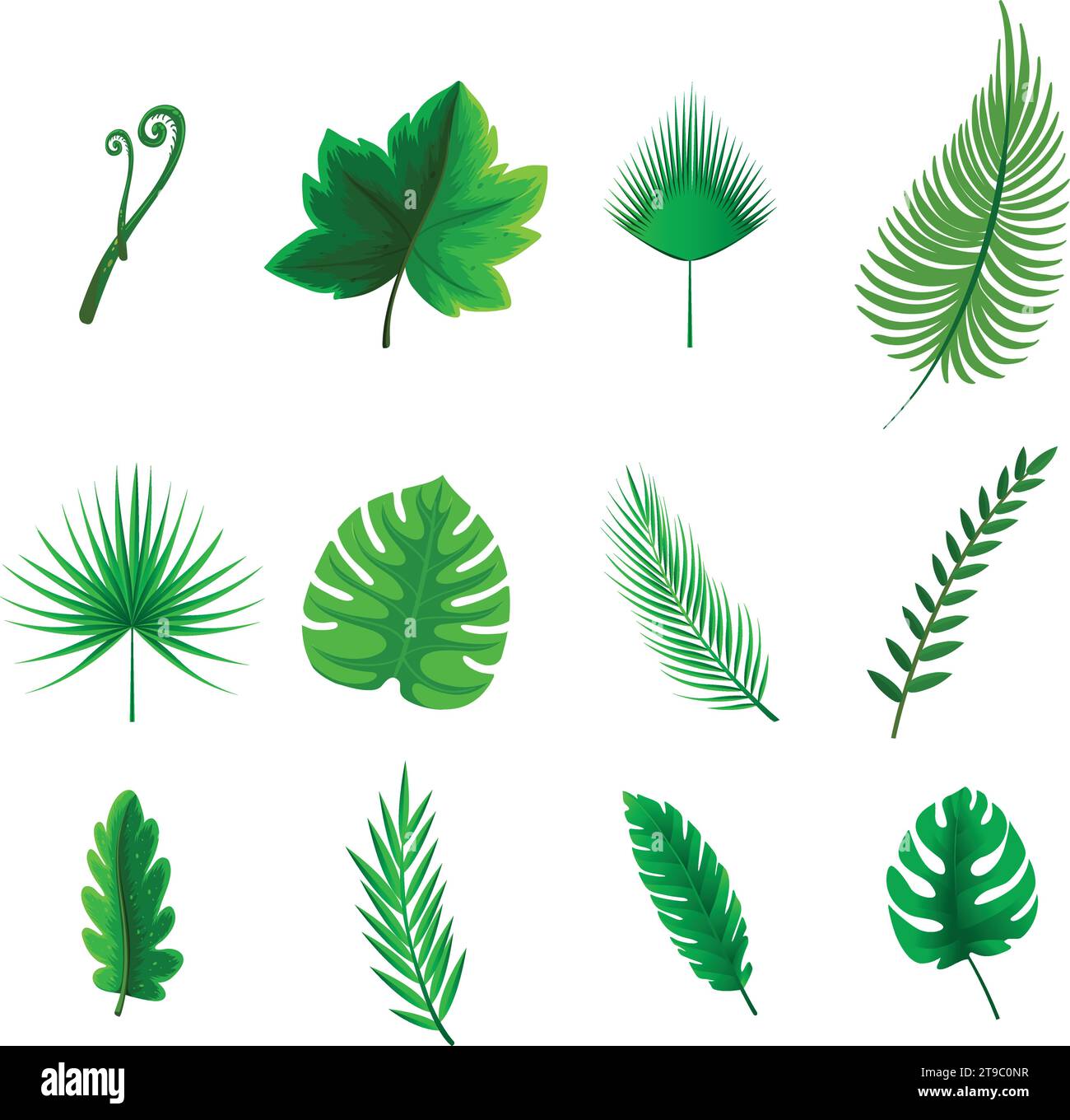 Leaf icons set ecology nature element, green leafs, environment and nature eco sign. Leaves on white background – stock vector Stock Vector