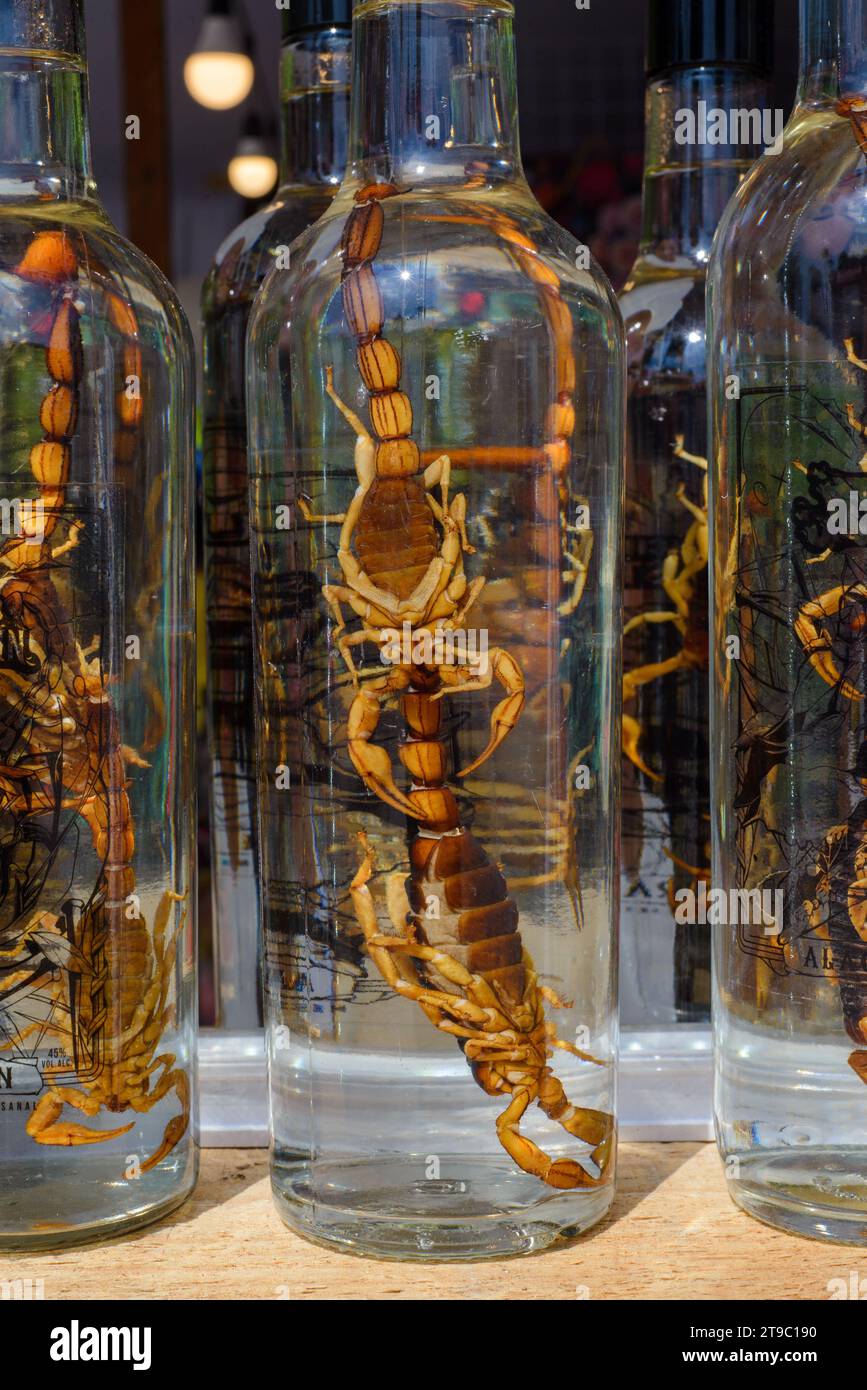 Bottle of mezcal with scorpions. Typical Mexican drink. Stock Photo