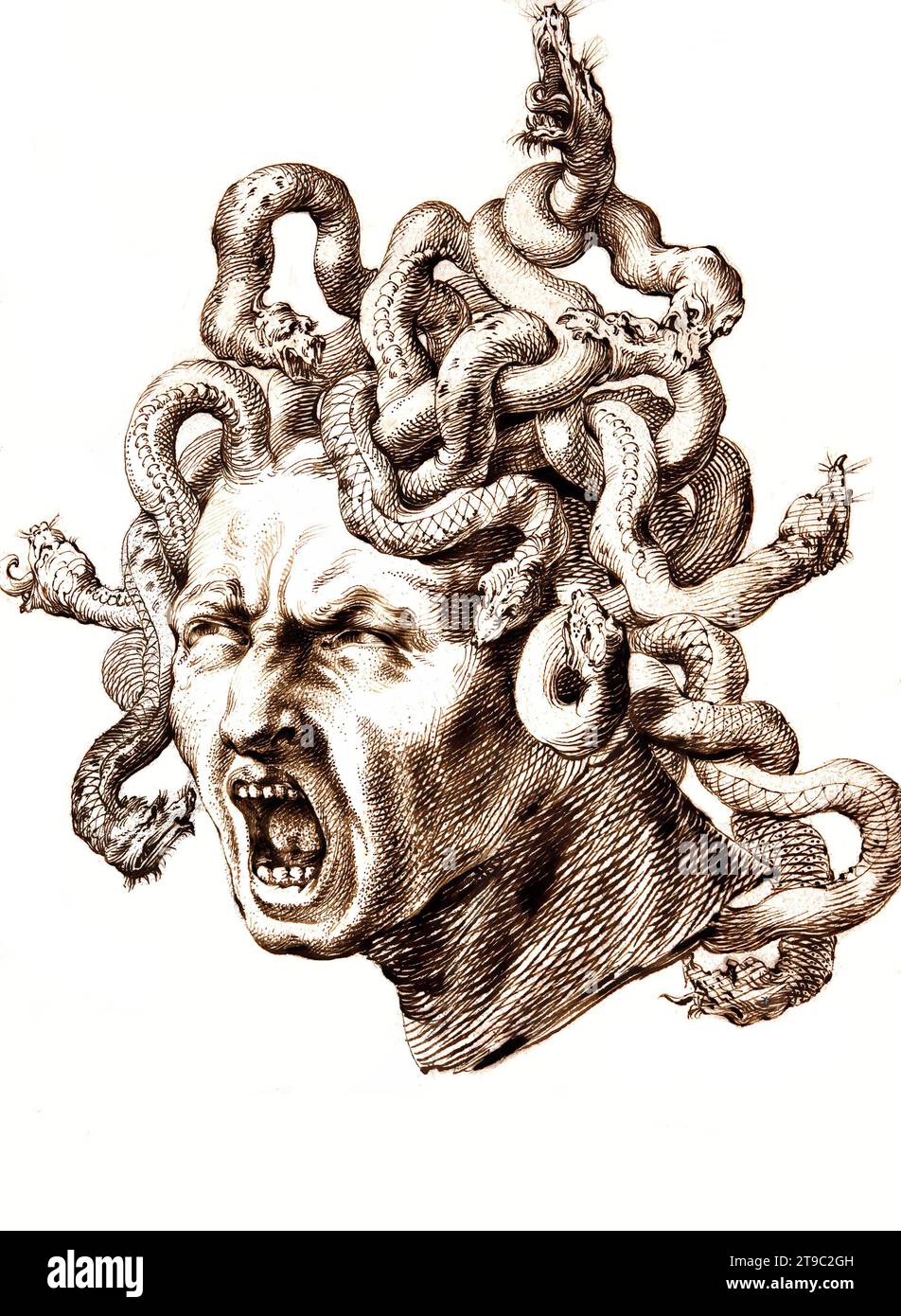 Kopf der Medusa, in der griechischen Mythologie eine Gorgone, die Tochter der Meeresgottheiten Phorkys und Keto sowie die Schwester von Stheno und Euryale, Gemälde von Godfried Maes, ein flämischer Maler, Historisch, digital restaurierte Reproduktion von einer Vorlage aus dem 19. Jahrhundert  /  Head of Medusa, in Greek mythology a Gorgon, the daughter of the sea deities Phorkys and Keto and the sister of Stheno and Euryale, painting by Godfried Maes, a Flemish painter, Historical, digitally restored reproduction from a 19th century original Stock Photo