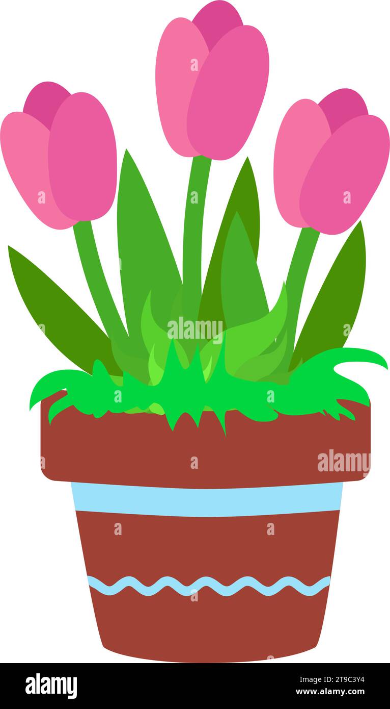 Pink tulips in a ceramic brown pot with a blue straight line and a winding stripe on top. Hobby growing plants in cartoon flat style. Can be used as a Stock Vector