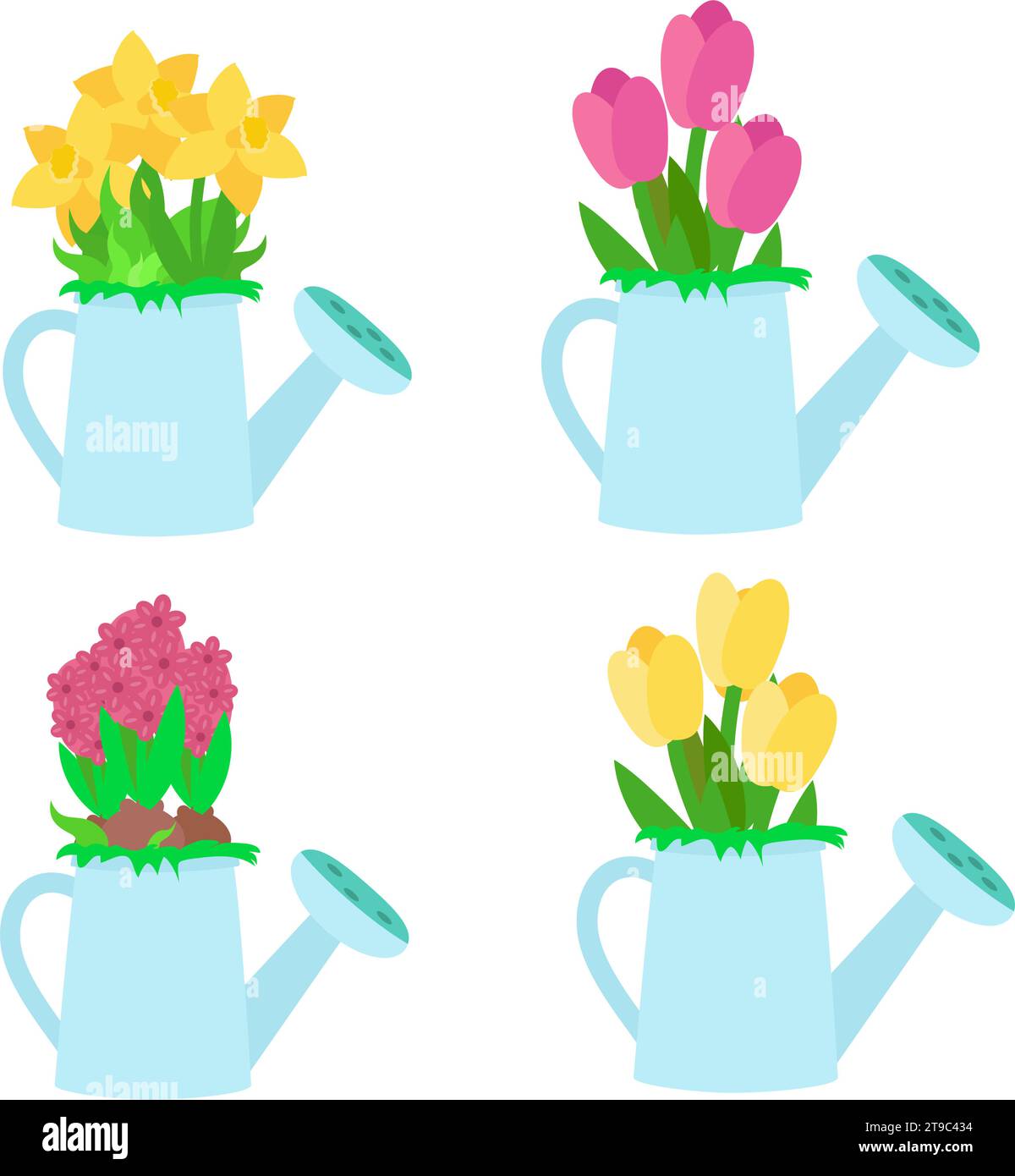 Set of spring flowers in garden blue watering cans in cartoon flat style. Fresh yellow daffodils, pink and yellow tulips, raspberry hyacinths isolated Stock Vector