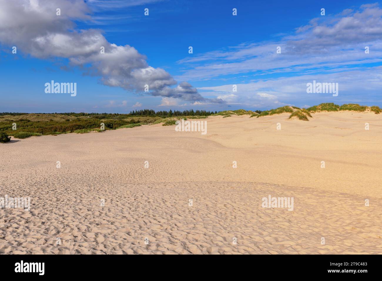 Rabjerg Mile, a huge migratory dune in norhtern Denmark. Stock Photo