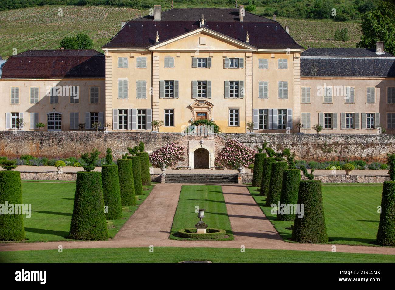 France, Rhone, Beaujolais région, la Chaize castle, Odenas Stock Photo