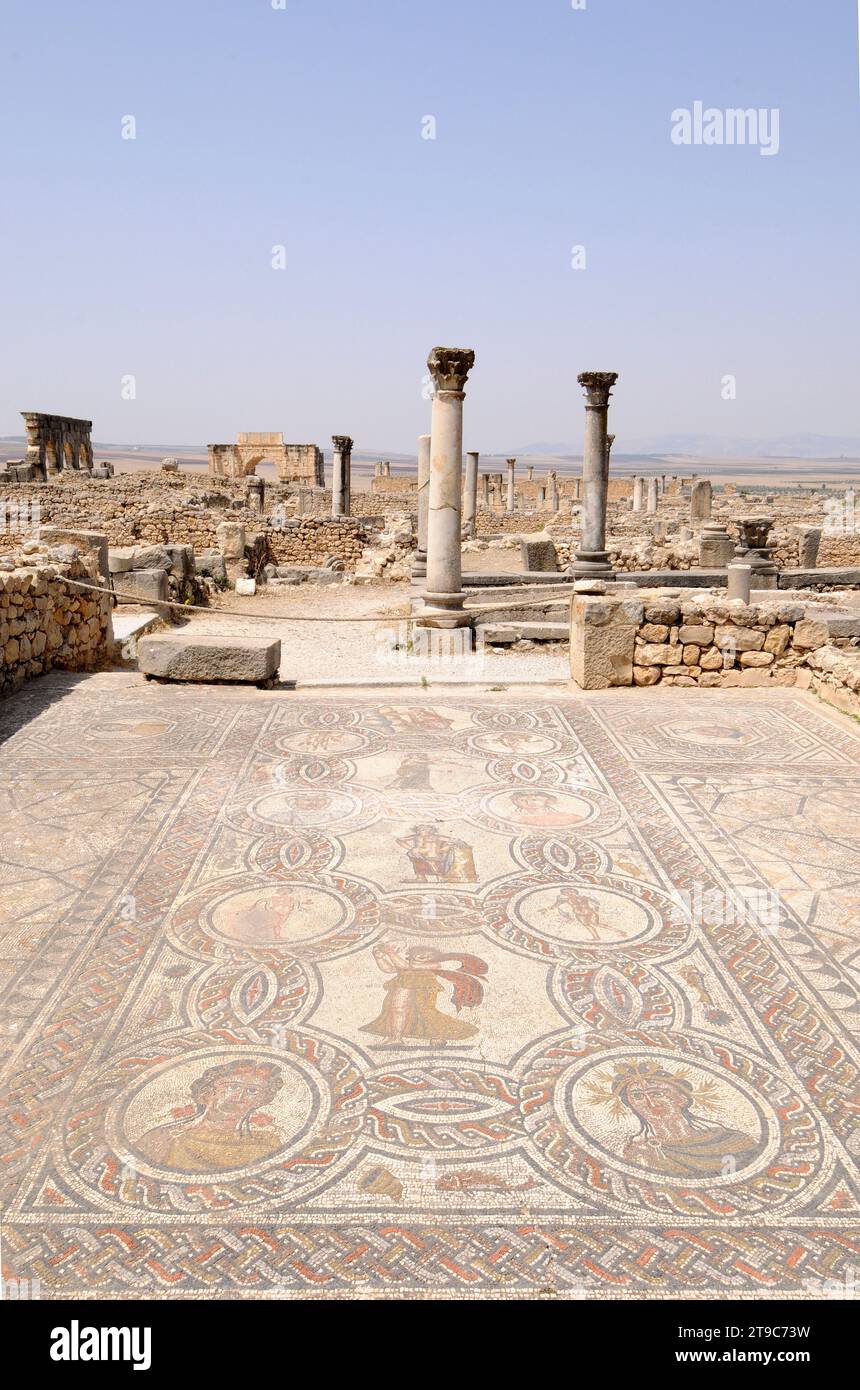 Volubilis, Berber and Roman city (from 3th century BC to 11th century AC), World Heritage Site. House of the Labours of Hercules with Mosaic of the Fo Stock Photo