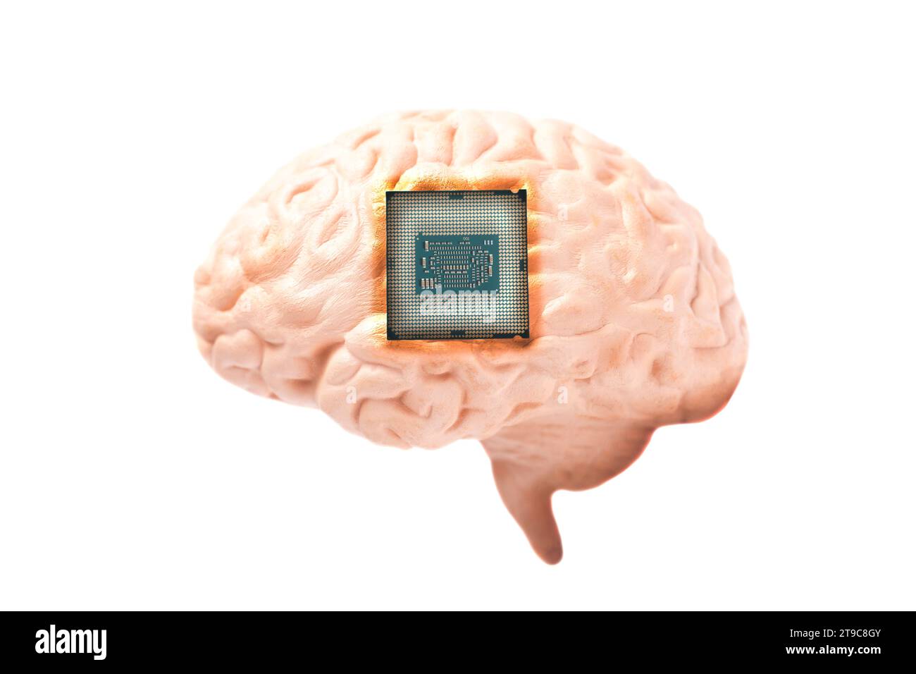 Human brain anatomical model with CPU processor microchip isolated on