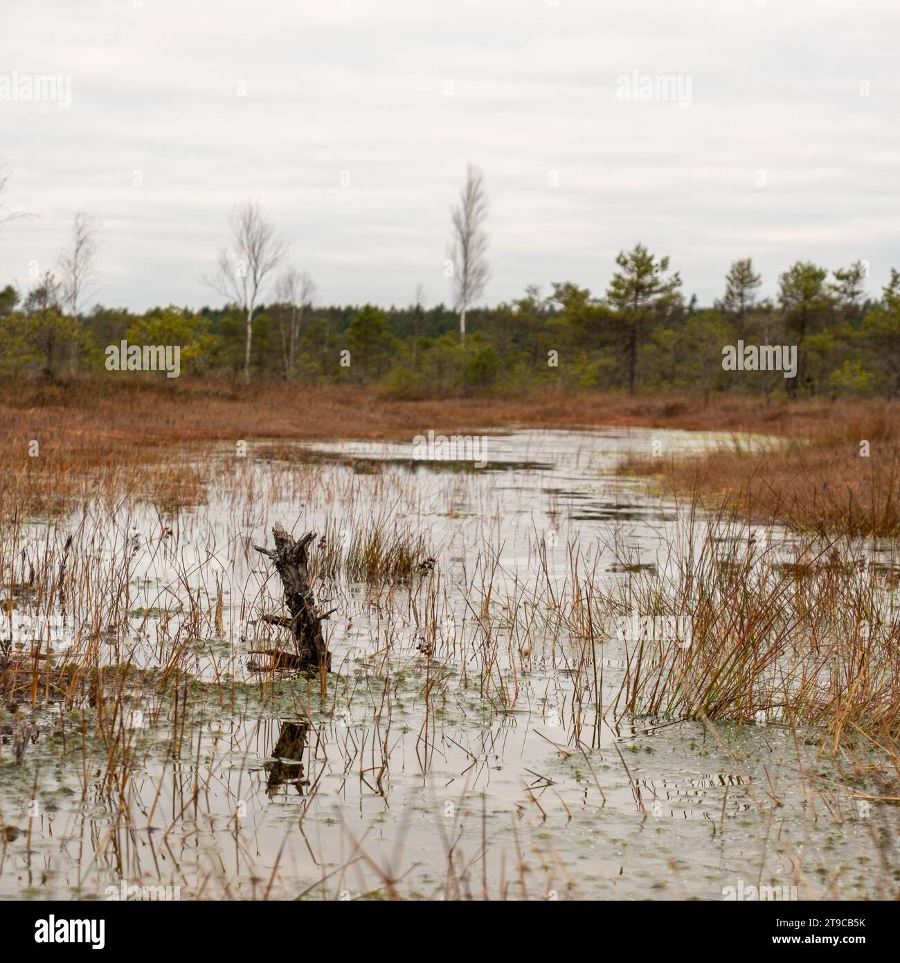 Enchanting oasis hi-res stock photography and images - Alamy 