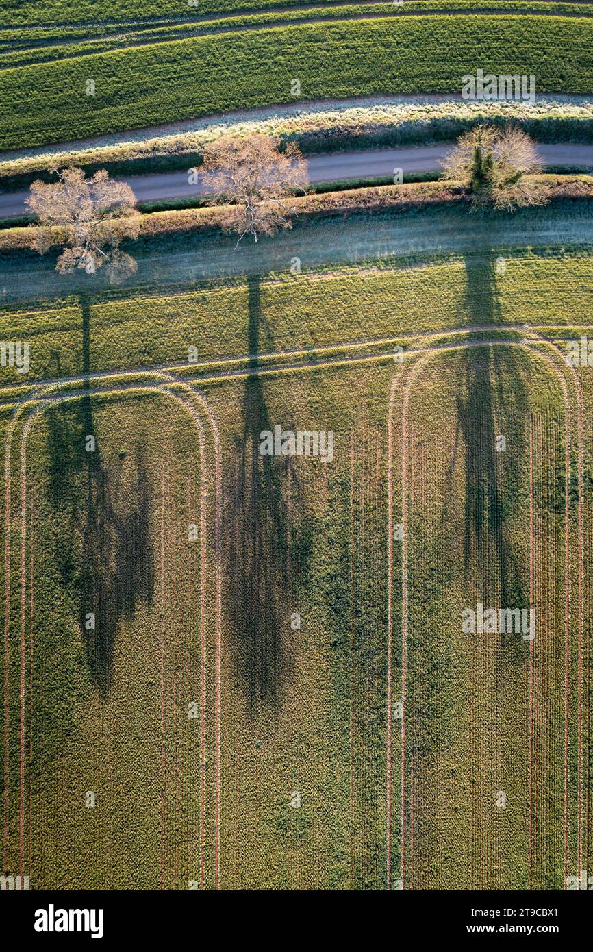 Aerial view of trees and shadows in rural Devon, England.  Spring (April) 2021. Stock Photo