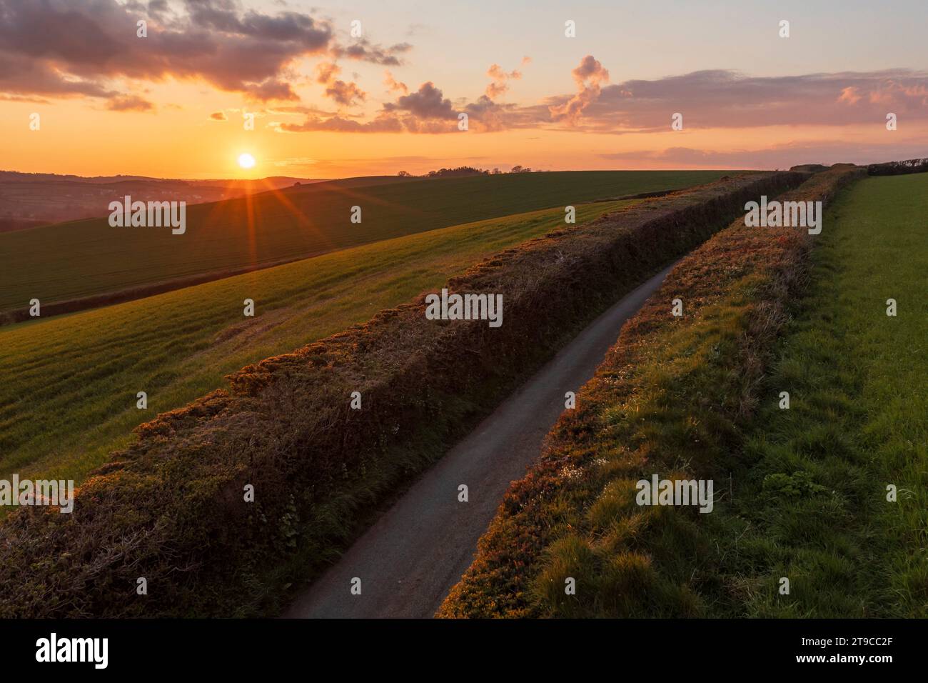 Sunset over a sunken country lane, Devon, England.  Spring (April) 2021. Stock Photo