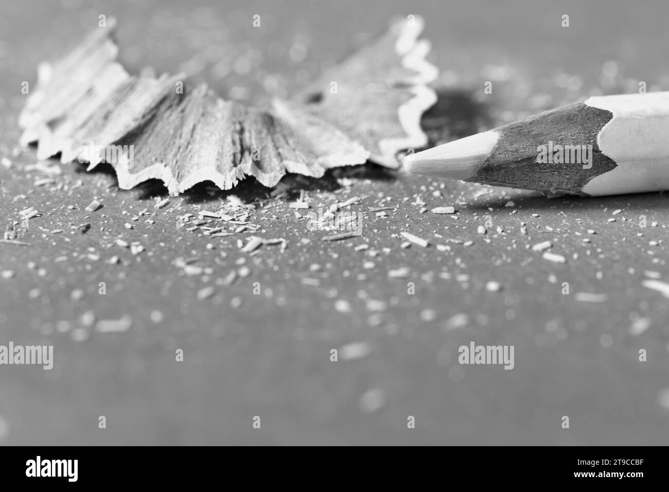 Pointed wooden pencil on table with shavings ,place of work or leisure time Stock Photo