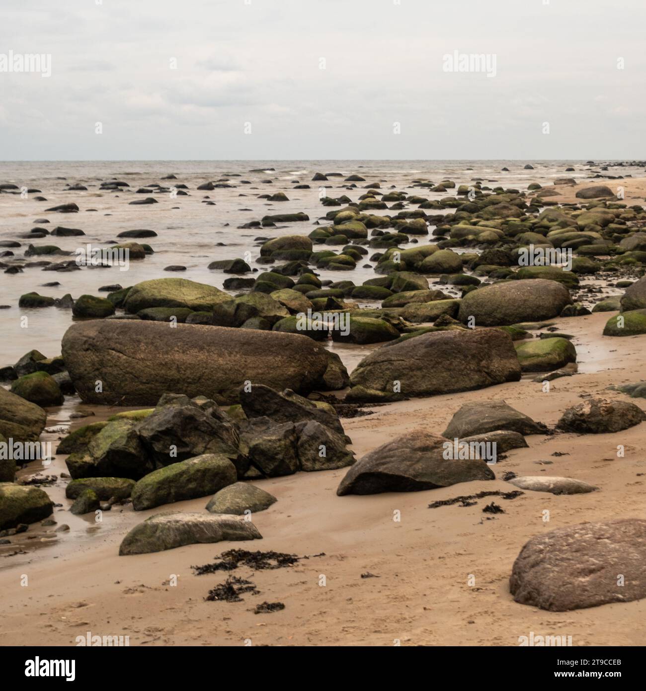 At the shoreline, nature's grandeur unfolds in the form of countless ...