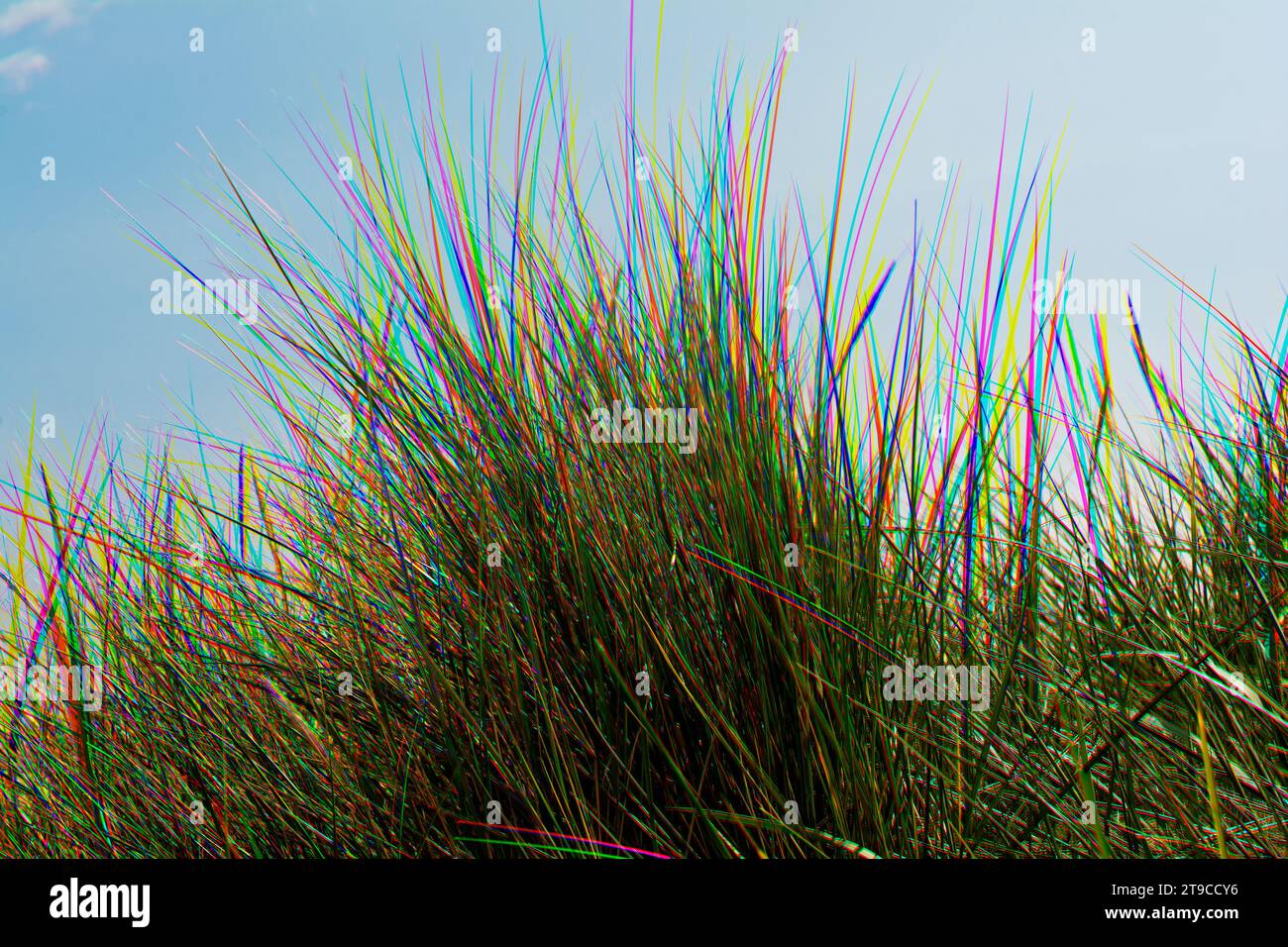 Sand dune grasses with red green blue triple exposure colour effect Stock Photo