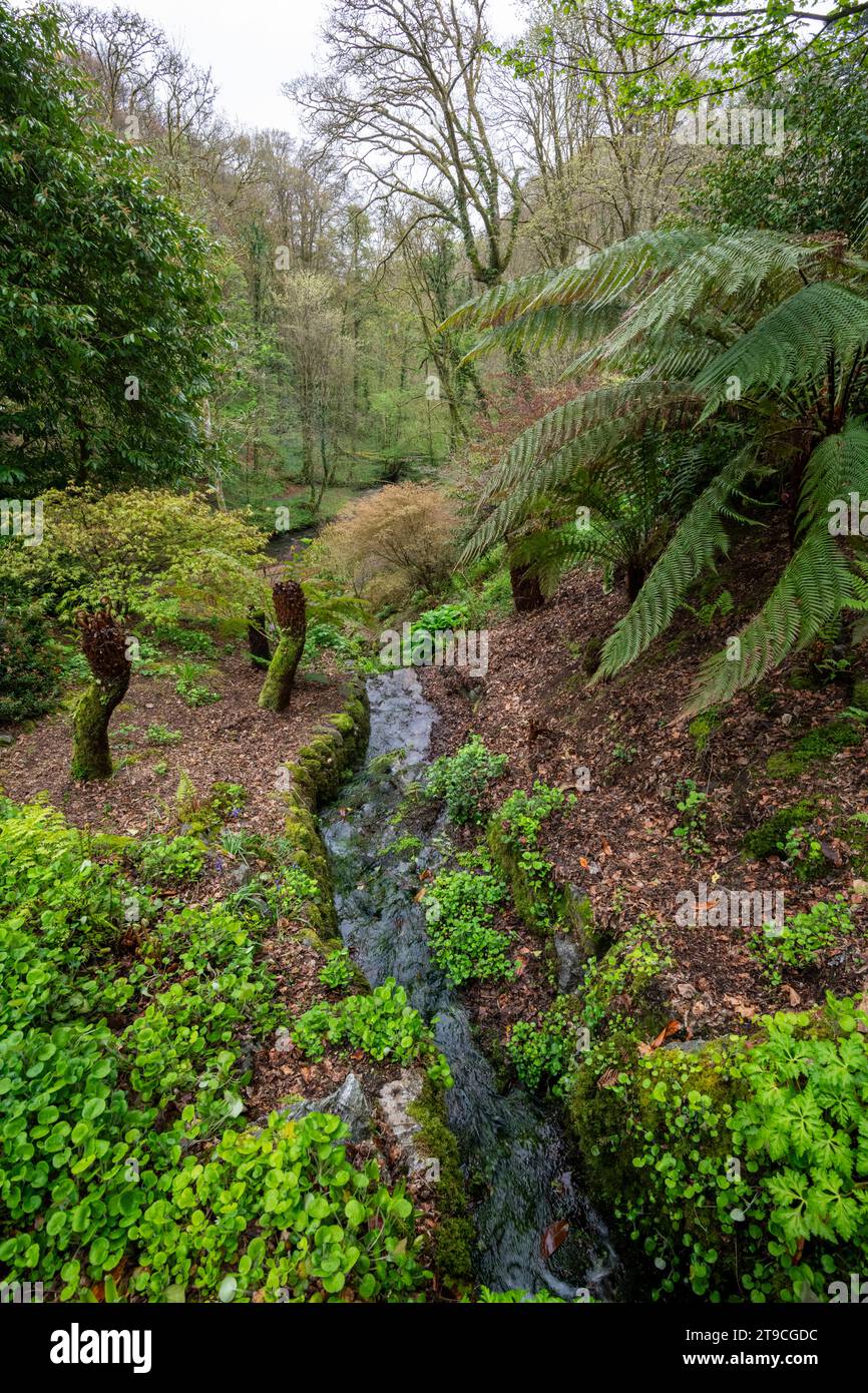 Plas Cadnant Hidden Gardens, Menai Bridge, Anglesey, North Wales Stock