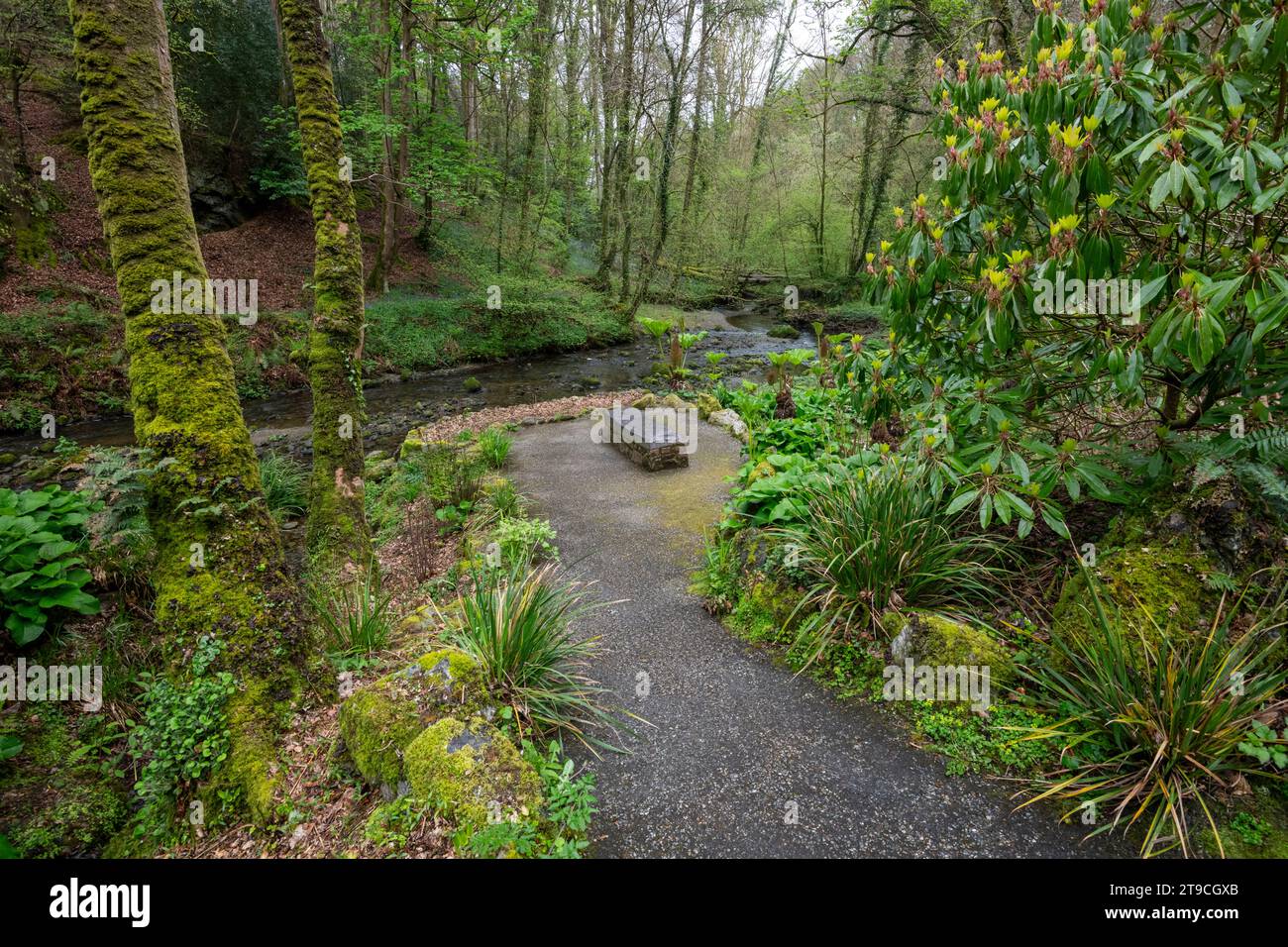 Plas Cadnant Hidden Gardens, Menai Bridge, Anglesey, North Wales Stock