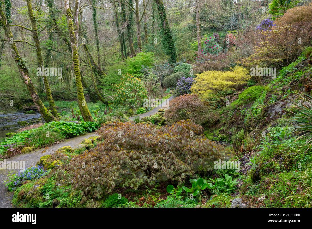 Plas Cadnant Hidden Gardens, Menai Bridge, Anglesey, North Wales Stock