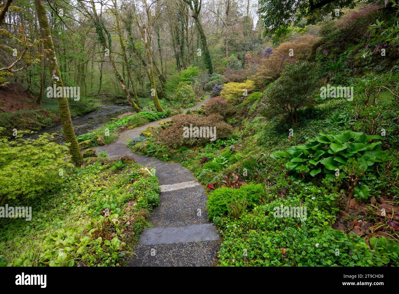 Plas Cadnant Hidden Gardens, Menai Bridge, Anglesey, North Wales Stock