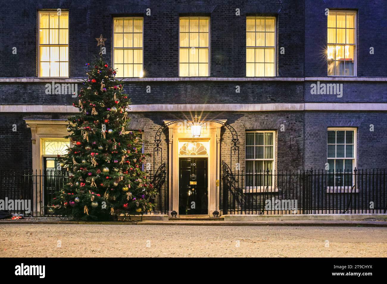 Nordmann christmas trees uk