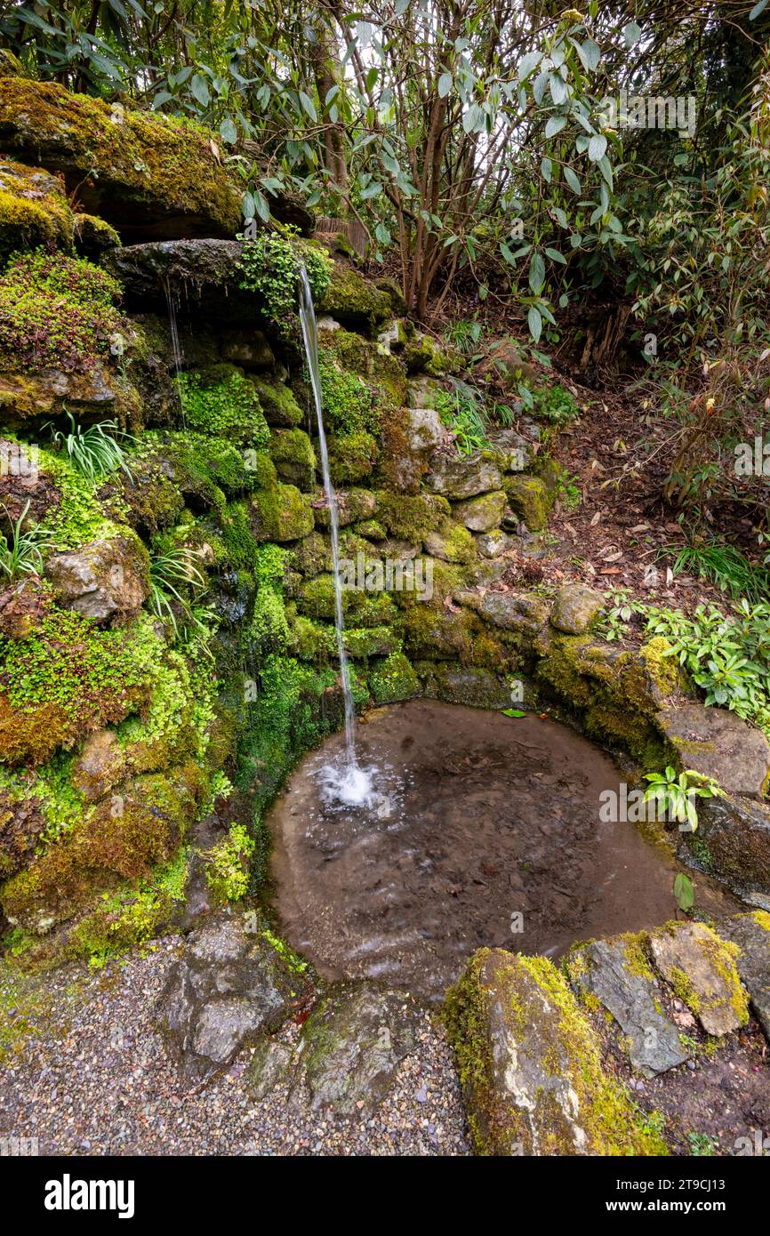 Small water feature garden hi-res stock photography and images - Alamy
