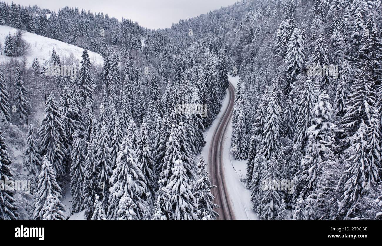 Drone flight through snowy forest hi-res stock photography and images ...