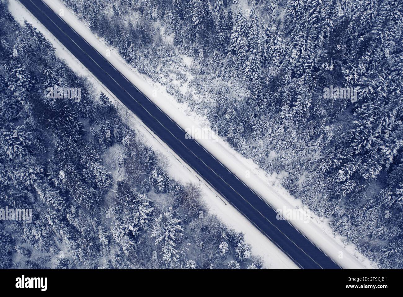 Aerial pine trees alps roads hi-res stock photography and images - Alamy