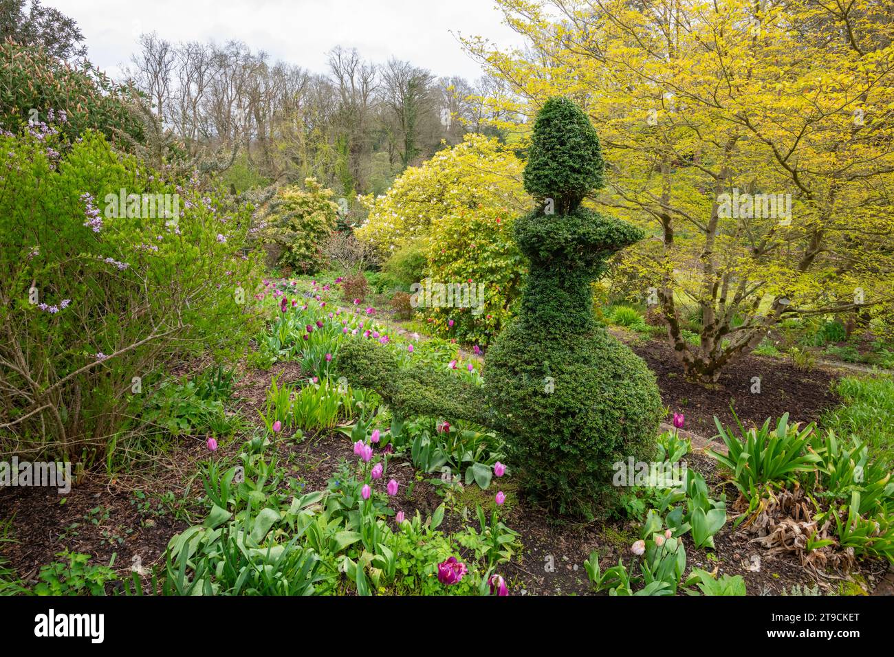 Plas Cadnant Hidden Gardens, Menai Bridge, Anglesey, North Wales Stock