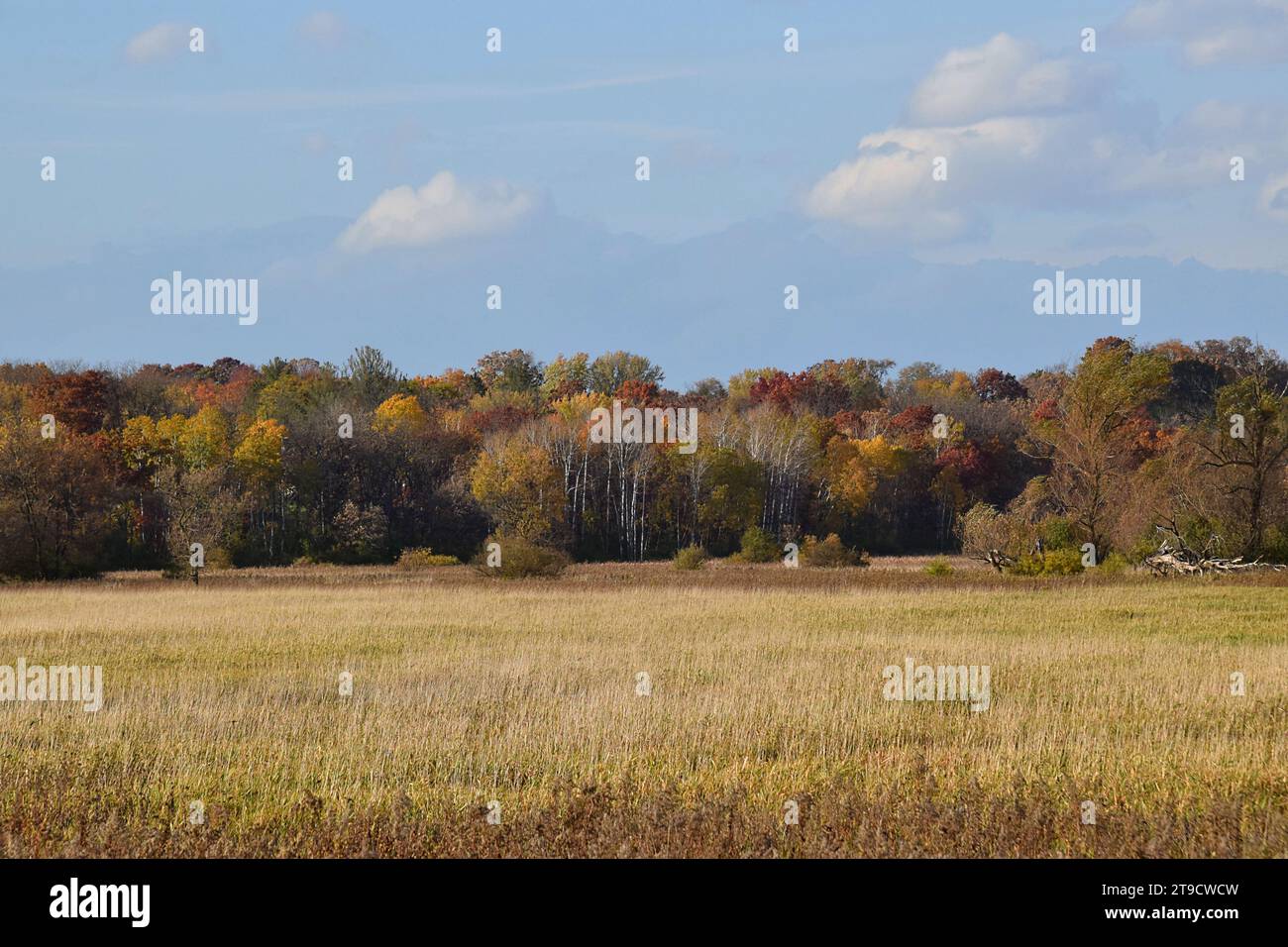 Fall Colors along a hiking trail in southwestern Wisconsin Stock Photo ...